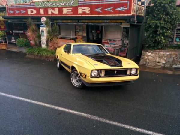 1973 Ford Mustang 5.8